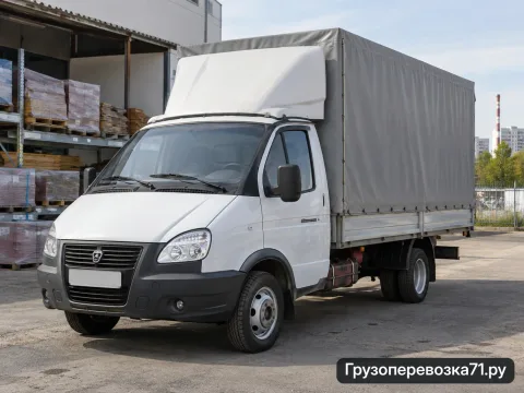 Газель · Грузовой автомобиль — перевозчик Николай, Тула